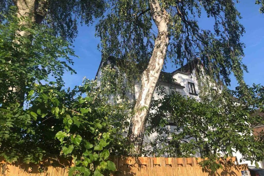 Appartement Idyllische Ferienwohnung Mit Rheinblick