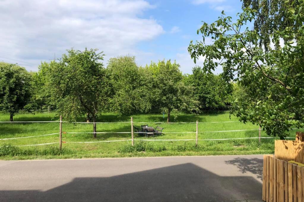 Idyllische Ferienwohnung Mit Rheinblick Appartement *