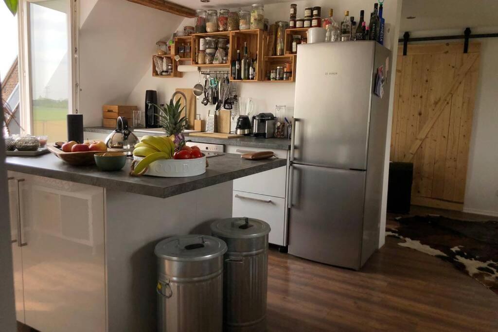 Idyllische Ferienwohnung Mit Rheinblick Appartement