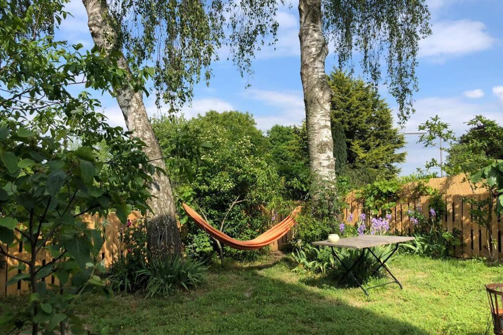 Idyllische Ferienwohnung Mit Rheinblick Appartement *