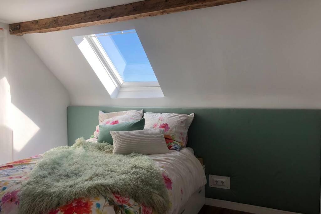 Appartement Idyllische Ferienwohnung Mit Rheinblick *