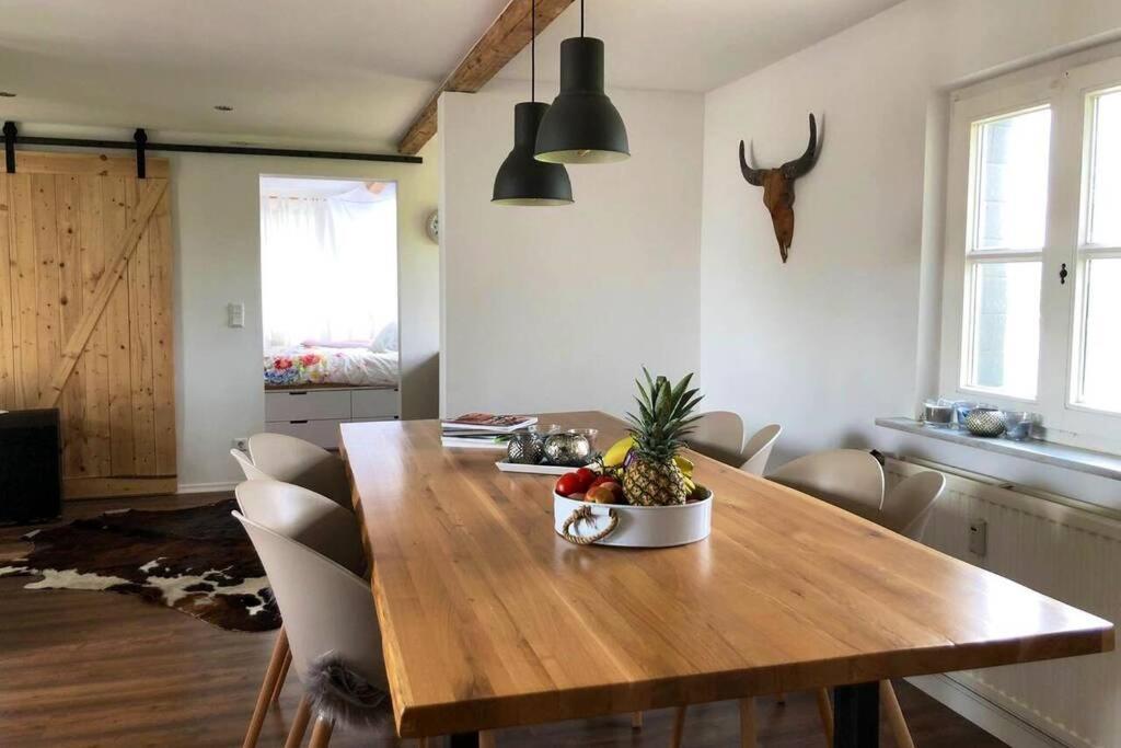 Idyllische Ferienwohnung Mit Rheinblick Appartement